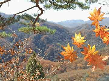国庆节诗歌（国庆节诗歌大全）